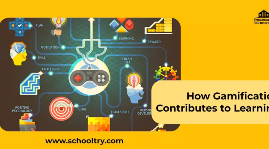 How Gamification contributes to learning